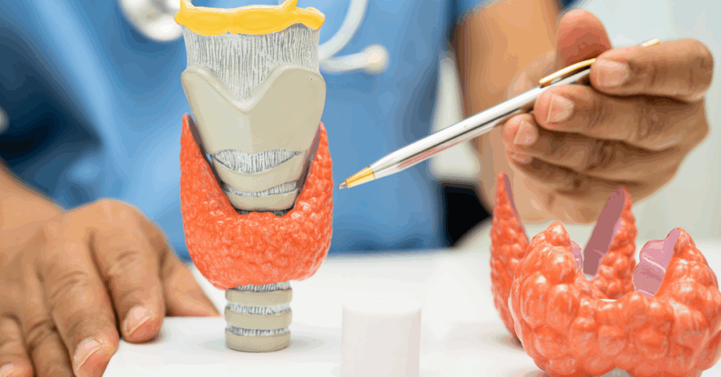 Complicacoes a Longo Prazo de Disturbios da Tireoide Prevencao e Controle